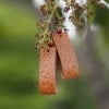Handmade Leather Earrings 'GEMA' 4