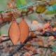 Handmade Leather Earrings 'FRANCA' 9