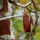 Handmade Leather Earrings 'GEMA' 6