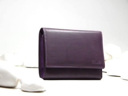 Leather Woman's Wallet 'COSTANZA' 1